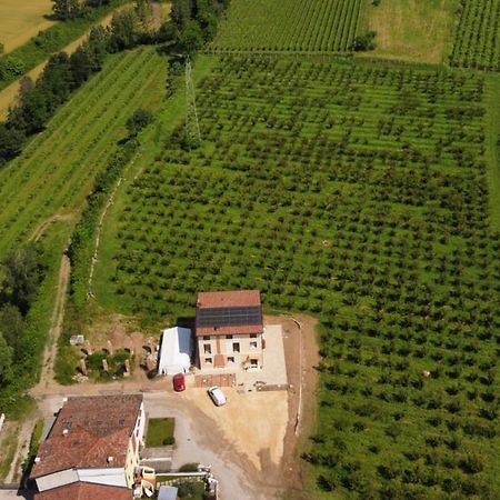 Corte Bottura Agriturismo Castelnuovo del Garda Eksteriør bilde