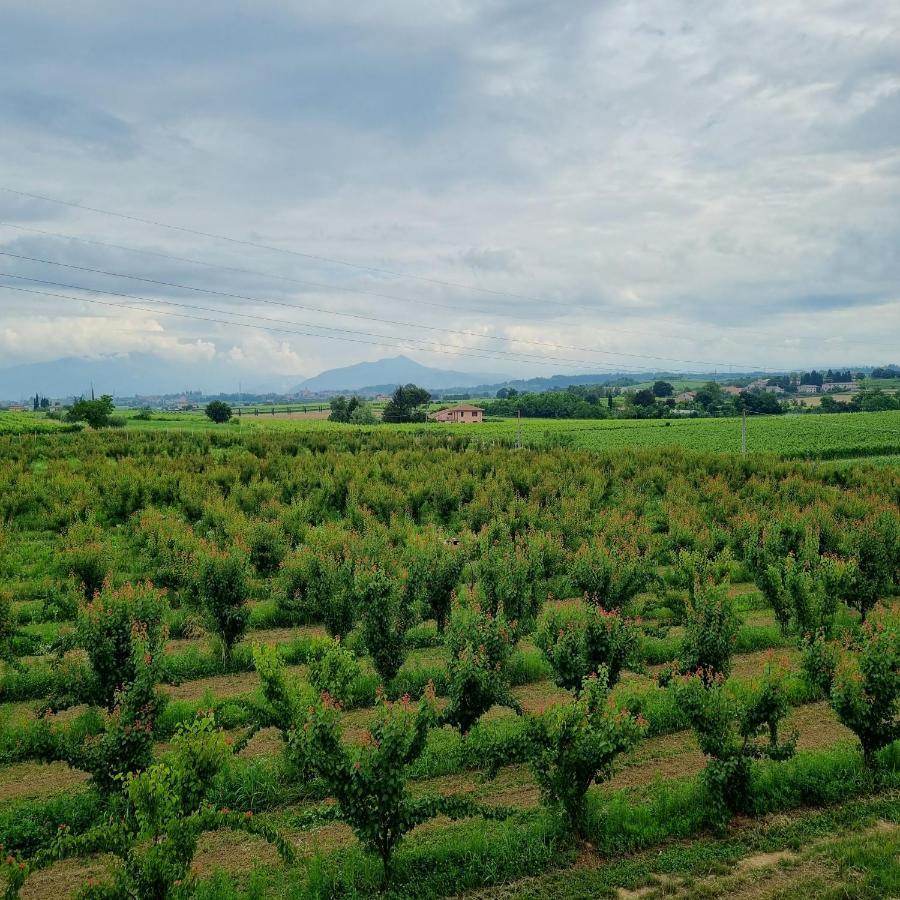 Corte Bottura Agriturismo Castelnuovo del Garda Eksteriør bilde