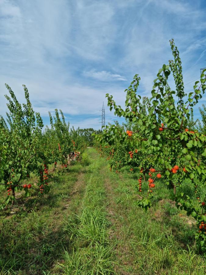 Corte Bottura Agriturismo Castelnuovo del Garda Eksteriør bilde